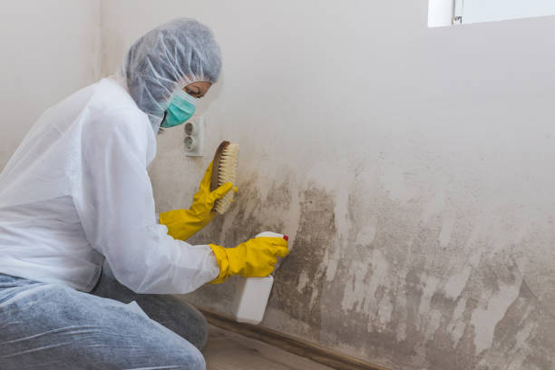 Best Residential Mold Inspection & Testing  in Clifton Forge, VA