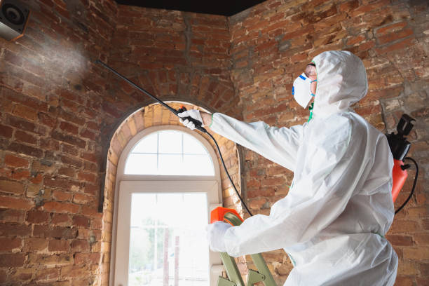 Mold Remediation for Vacation Homes in Clifton Forge, VA