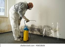 Best Commercial Mold Inspection  in Clifton Forge, VA